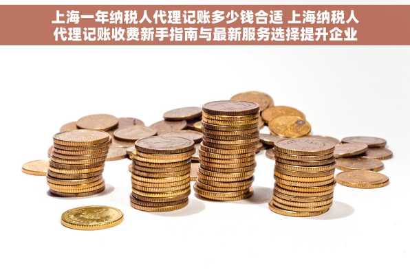 上海一年纳税人代理记账多少钱合适 上海纳税人代理记账收费新手指南与最新服务选择提升企业竞争力