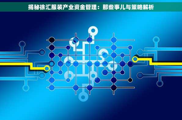 揭秘徐汇服装产业资金管理：那些事儿与策略解析