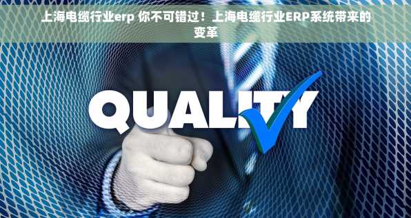 上海电缆行业erp 你不可错过！上海电缆行业ERP系统带来的变革