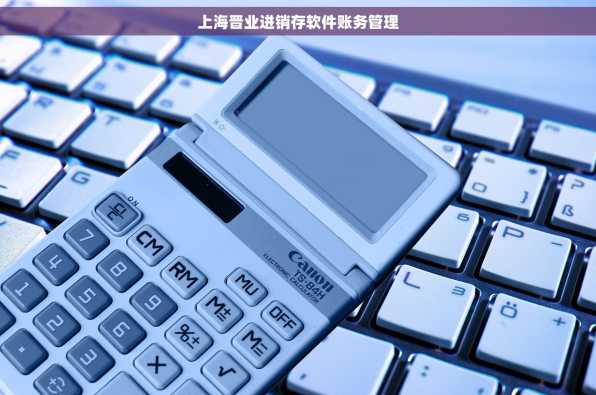 上海晋业进销存软件账务管理