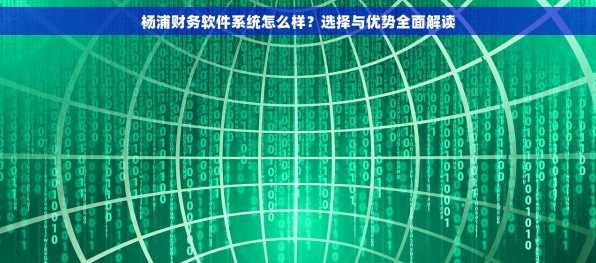杨浦财务软件系统怎么样？选择与优势全面解读