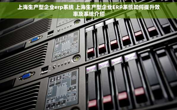 上海生产型企业erp系统 上海生产型企业ERP系统如何提升效率及系统介绍