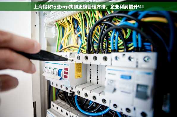 上海铝材行业erp找到正确管理方法，企业利润提升%！