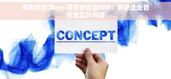 奉贤新纪源erp 奉贤新纪源ERP：解决企业管理难题的利器