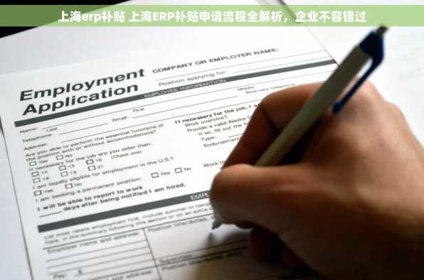 上海erp补贴 上海ERP补贴申请流程全解析，企业不容错过