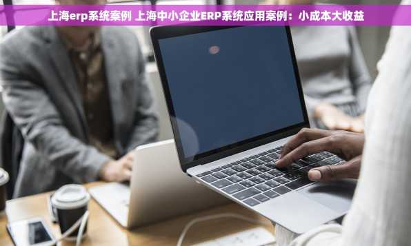 上海erp系统案例 上海中小企业ERP系统应用案例：小成本大收益
