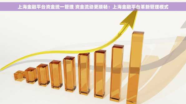 上海金融平台资金统一管理 资金流动更顺畅：上海金融平台革新管理模式