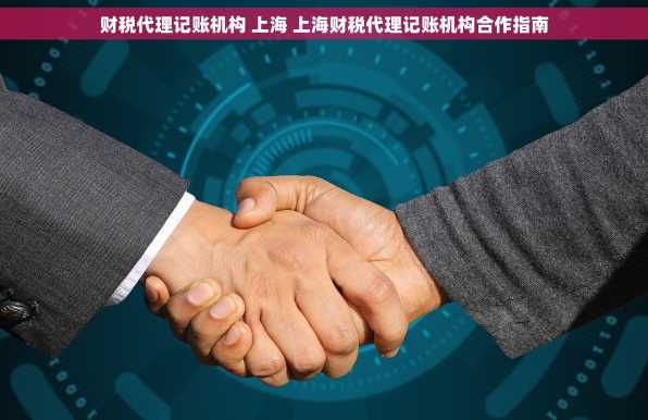 财税代理记账机构 上海 上海财税代理记账机构合作指南