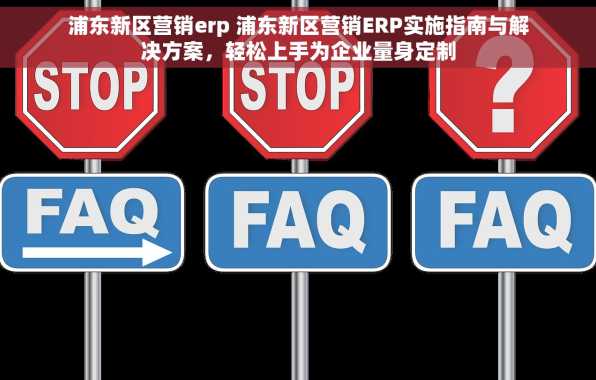 浦东新区营销erp 浦东新区营销ERP实施指南与解决方案，轻松上手为企业量身定制