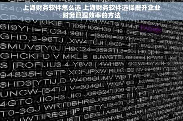 上海财务软件怎么选 上海财务软件选择提升企业财务管理效率的方法