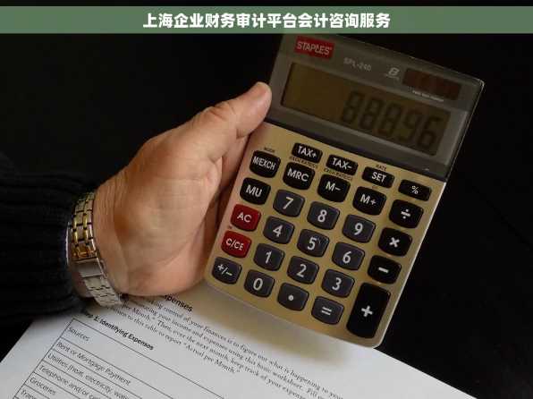 上海企业财务审计平台会计咨询服务