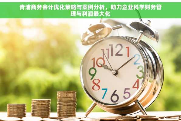 青浦商务会计优化策略与案例分析，助力企业科学财务管理与利润最大化