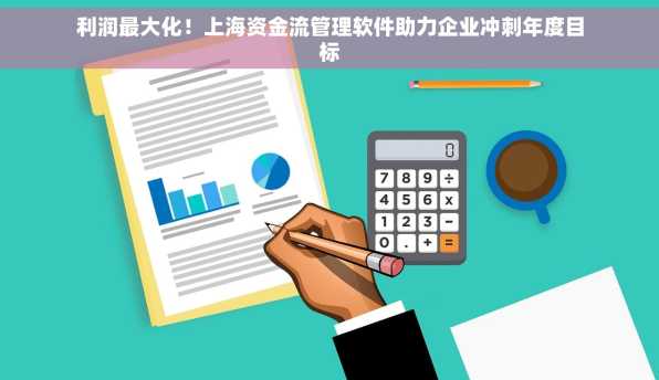 利润最大化！上海资金流管理软件助力企业冲刺年度目标