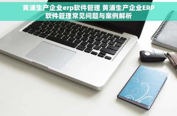 黄浦生产企业erp软件管理 黄浦生产企业ERP软件管理常见问题与案例解析