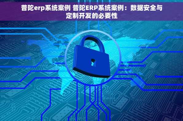 普陀erp系统案例 普陀ERP系统案例：数据安全与定制开发的必要性
