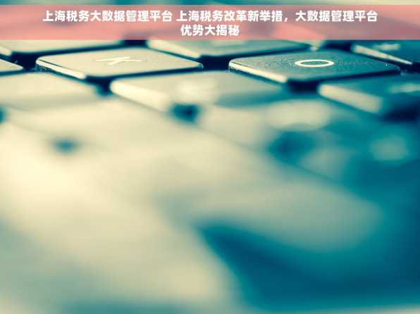 上海税务大数据管理平台 上海税务改革新举措，大数据管理平台优势大揭秘
