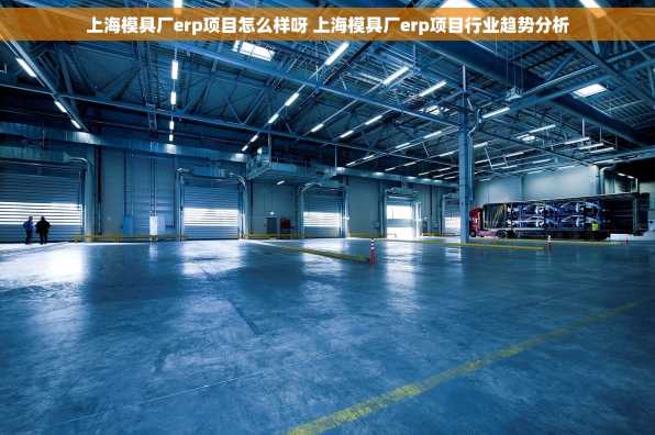 上海模具厂erp项目怎么样呀 上海模具厂erp项目行业趋势分析