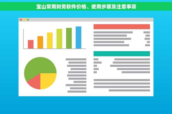 宝山常用财务软件价格、使用步骤及注意事项