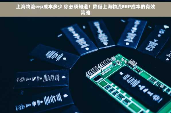 上海物流erp成本多少 你必须知道！降低上海物流ERP成本的有效策略