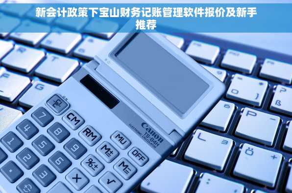 新会计政策下宝山财务记账管理软件报价及新手推荐