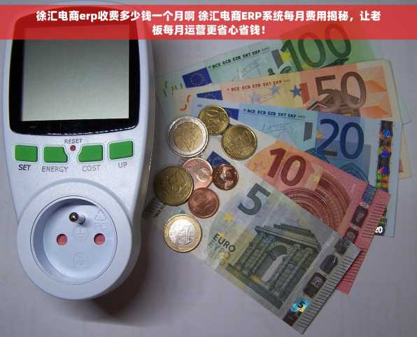 徐汇电商erp收费多少钱一个月啊 徐汇电商ERP系统每月费用揭秘，让老板每月运营更省心省钱！