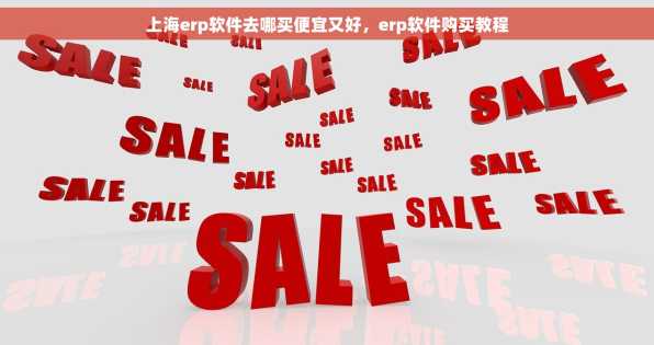 上海erp软件去哪买便宜又好，erp软件购买教程