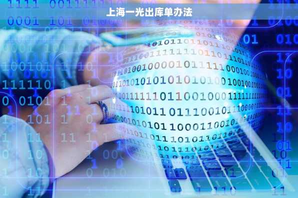 上海一光出库单办法