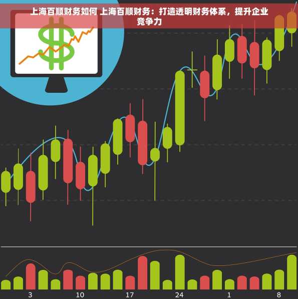 上海百顺财务如何 上海百顺财务：打造透明财务体系，提升企业竞争力
