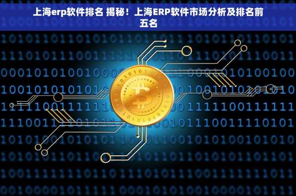 上海erp软件排名 揭秘！上海ERP软件市场分析及排名前五名