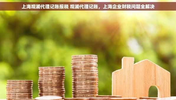 上海观澜代理记账报税 观澜代理记账，上海企业财税问题全解决