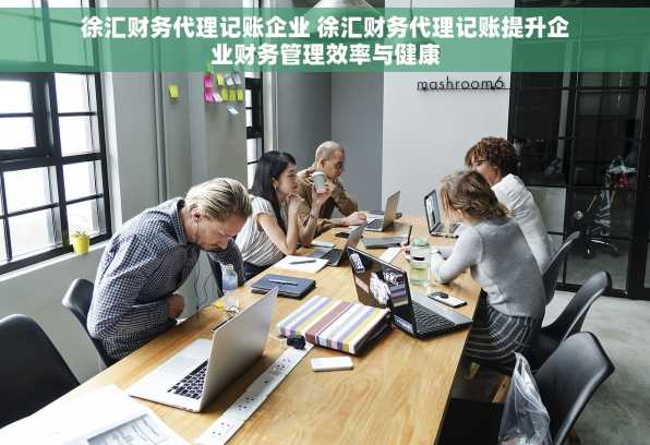 徐汇财务代理记账企业 徐汇财务代理记账提升企业财务管理效率与健康