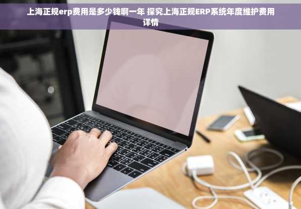上海正规erp费用是多少钱啊一年 探究上海正规ERP系统年度维护费用详情