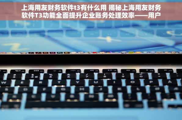 上海用友财务软件t3有什么用 揭秘上海用友财务软件T3功能全面提升企业账务处理效率——用户评价汇总：财务总监的真实反馈