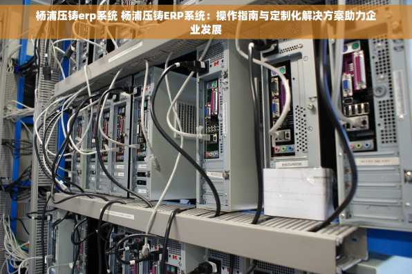 杨浦压铸erp系统 杨浦压铸ERP系统：操作指南与定制化解决方案助力企业发展