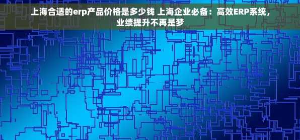上海合适的erp产品价格是多少钱 上海企业必备：高效ERP系统，业绩提升不再是梦