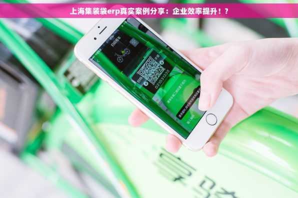上海集装袋erp真实案例分享：企业效率提升！?