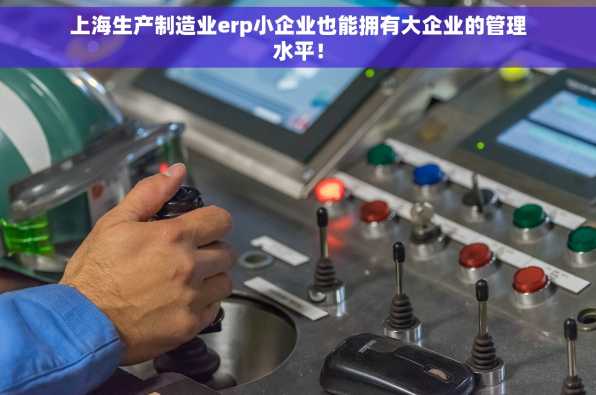 上海生产制造业erp小企业也能拥有大企业的管理水平！
