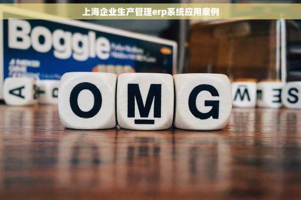 上海企业生产管理erp系统应用案例