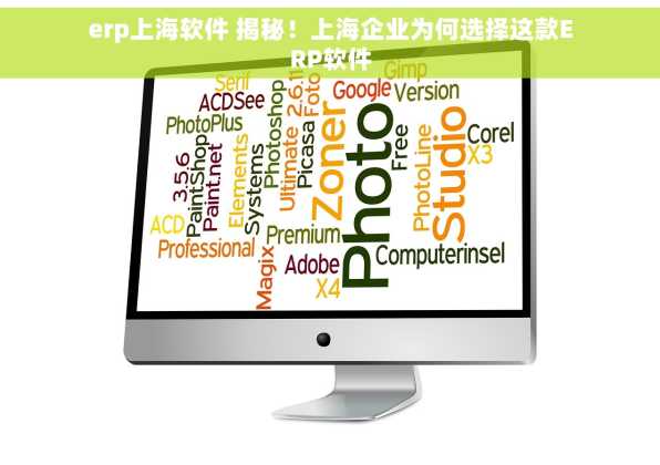 erp上海软件 揭秘！上海企业为何选择这款ERP软件
