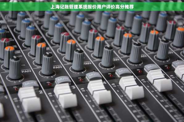上海记账管理系统报价用户评价高分推荐