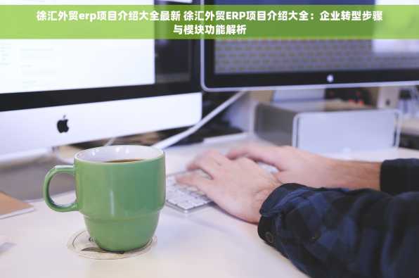 徐汇外贸erp项目介绍大全最新 徐汇外贸ERP项目介绍大全：企业转型步骤与模块功能解析
