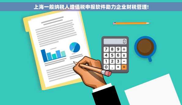上海一般纳税人增值税申报软件助力企业财税管理!