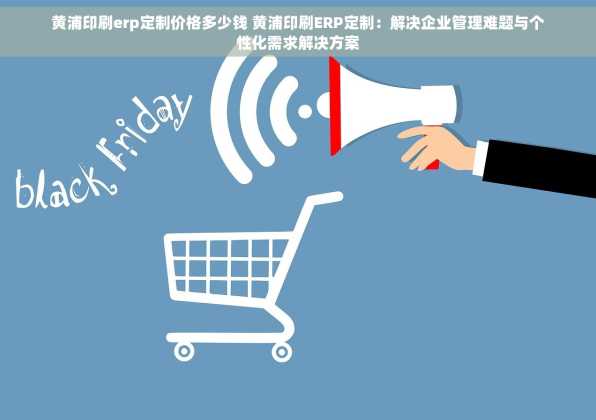 黄浦印刷erp定制价格多少钱 黄浦印刷ERP定制：解决企业管理难题与个性化需求解决方案