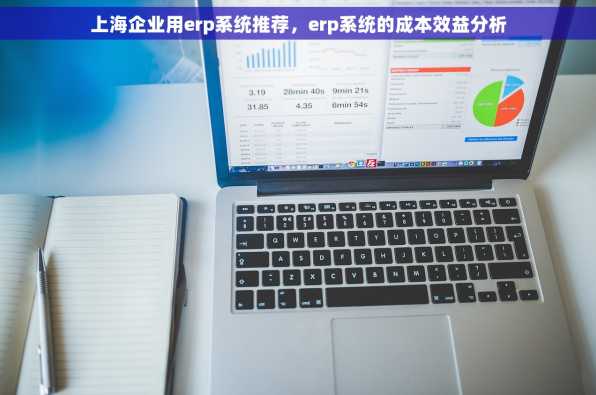上海企业用erp系统推荐，erp系统的成本效益分析