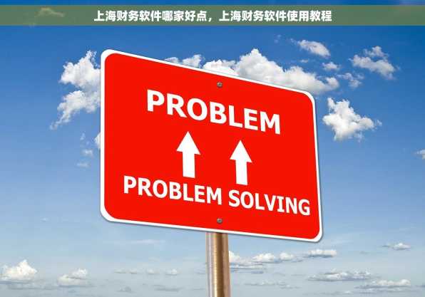 上海财务软件哪家好点，上海财务软件使用教程