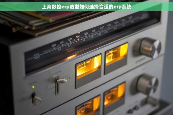 上海数控erp选型如何选择合适的erp系统