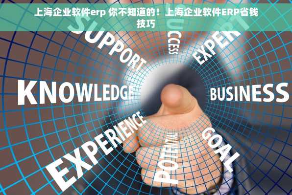 上海企业软件erp 你不知道的！上海企业软件ERP省钱技巧