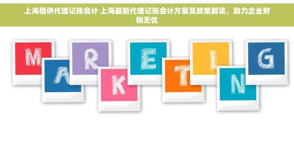上海提供代理记账会计 上海最新代理记账会计方案及政策解读，助力企业财税无忧