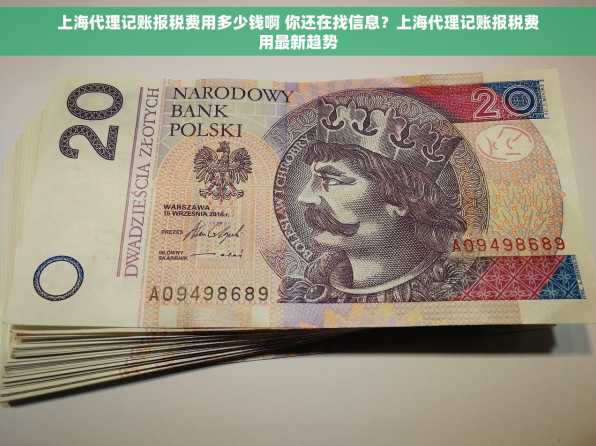 上海代理记账报税费用多少钱啊 你还在找信息？上海代理记账报税费用最新趋势