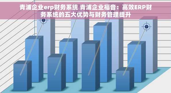 青浦企业erp财务系统 青浦企业福音：高效ERP财务系统的五大优势与财务管理提升